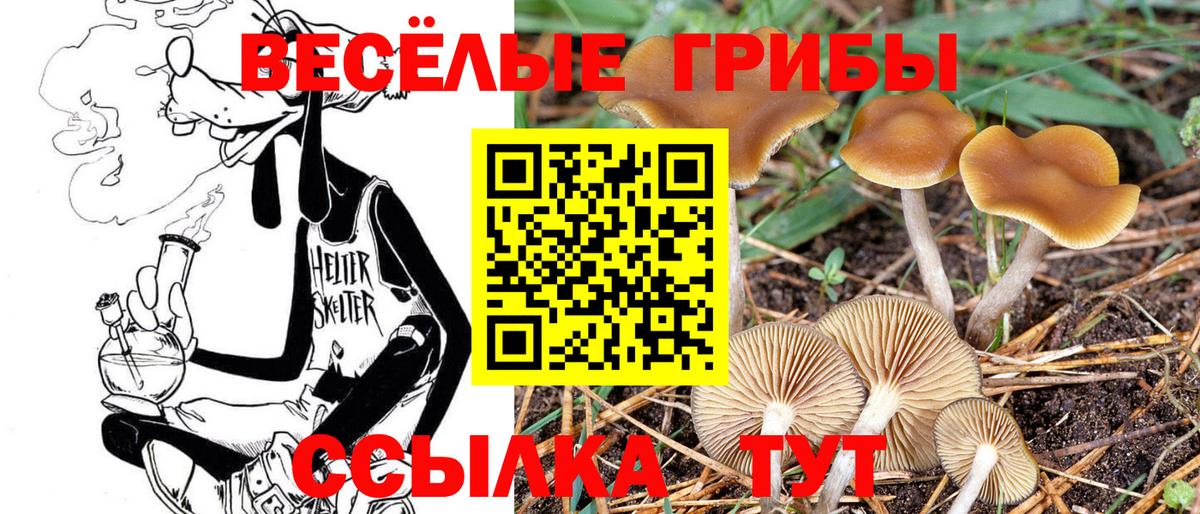 Галлюциногенные грибы мухоморы Домодедово