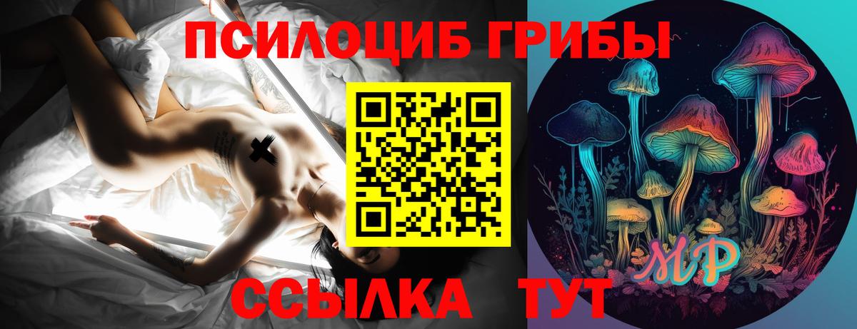 Псилоцибиновые грибы мицелий  Вход с VPN  Домодедово 